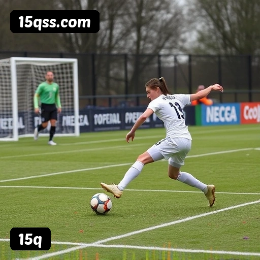 Níveis do programa VIP da 15q